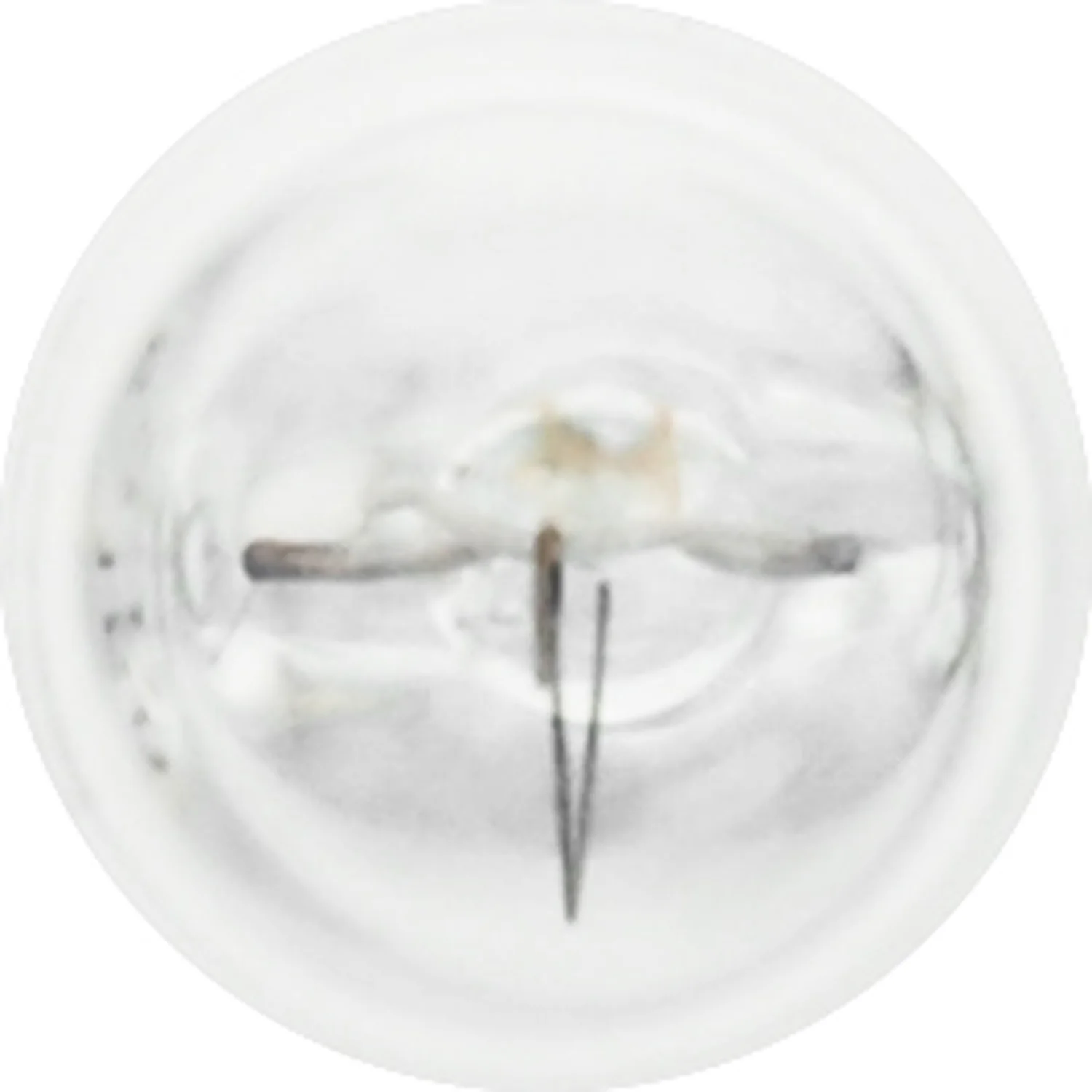10-PK SYLVANIA 161 Standard Automotive Light Bulb - Image 4