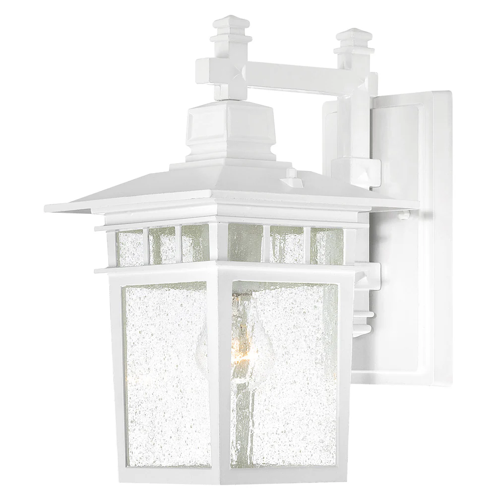 Nuvo Cove Neck 1-Light 14" Outdoor Lantern w/ Clear Seed Glass in White Finish