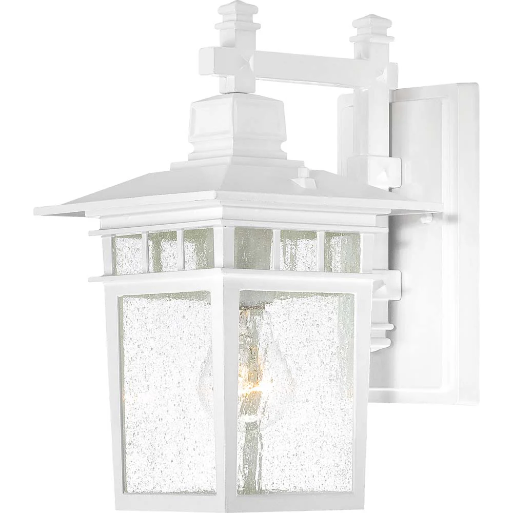 Cove Neck 1-Light Wall Lantern Outdoor Light Fixture in White Finish